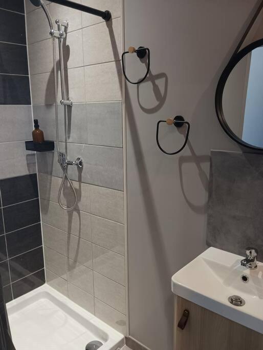 Sarras Chambre & Sdb Privee Avec Piscine En Bord De Via Rhona מראה חיצוני תמונה